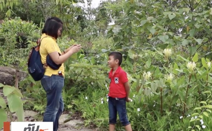 ชมความงามดอกไม้ป่าที่ภูหินร่องกล้า