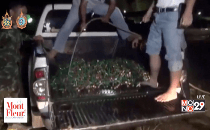 ชาวบ้านหาปลาพบกระสุน 4,000 นัด