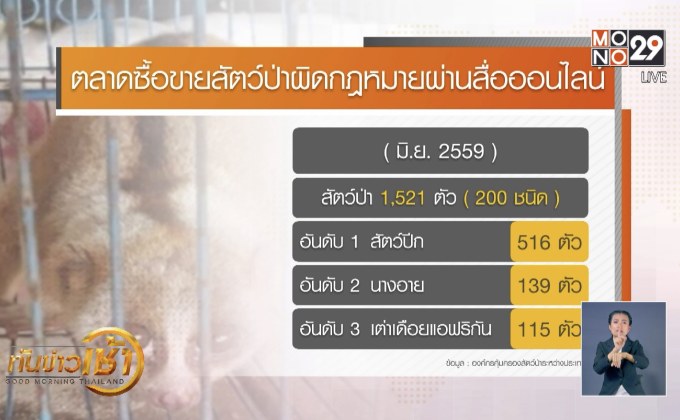 ลักลอบค้าสัตว์ป่า ปัญหาที่ยังคงอยู่