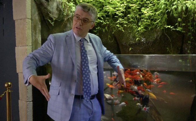 พิพิธภัณฑ์ในปารีสรับเลี้ยงปลาทองที่ถูกทิ้ง