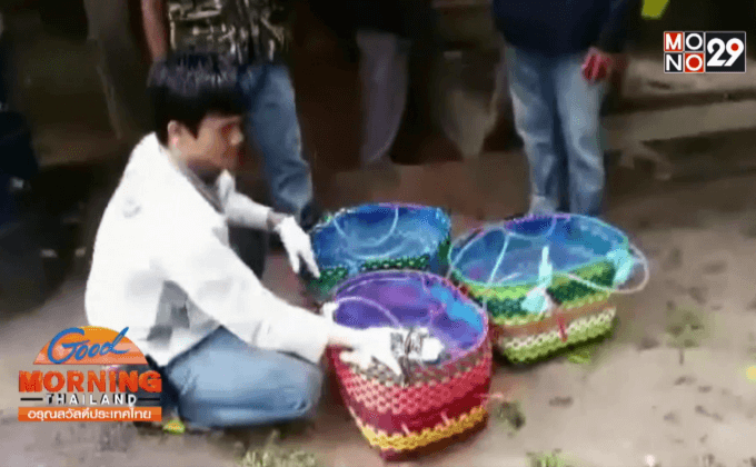 ยึดนกกรงหัวจุกลอบนำเข้าจากลาวกว่า 200 ตัว