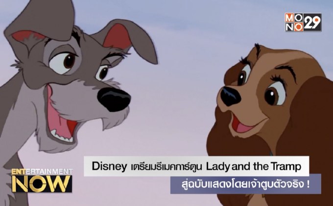 Disney เตรียมรีเมคการ์ตูน Lady and the Tramp สู่ฉบับแสดงโดยเจ้าตูบตัวจริง!