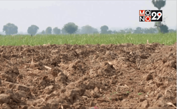 ผลกระทบจากภัยแล้ง