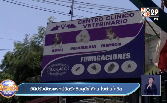 ชิลีปรับสัตวแพทย์ฉีดวัคซีนสุนัขให้คน โวต้านโควิด