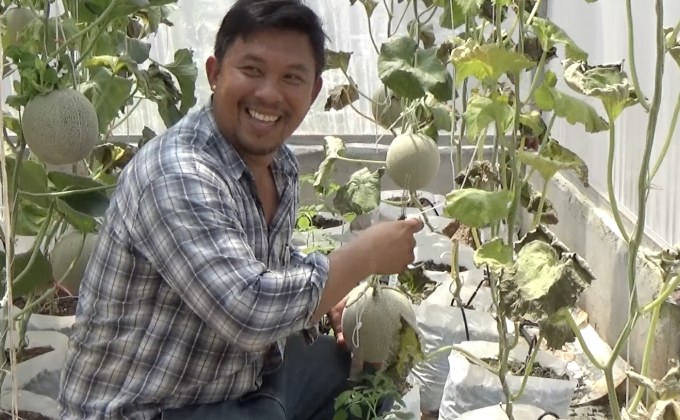 หนุ่มวิศวะ ทิ้งเงิน 50 ล้านบาท หันทำสวนผัก