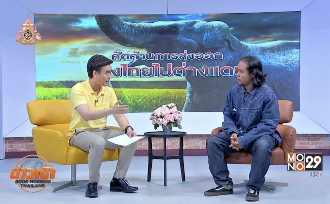 องค์กรสิทธิสัตว์ฯ คัดค้านส่งออกช้างไทย