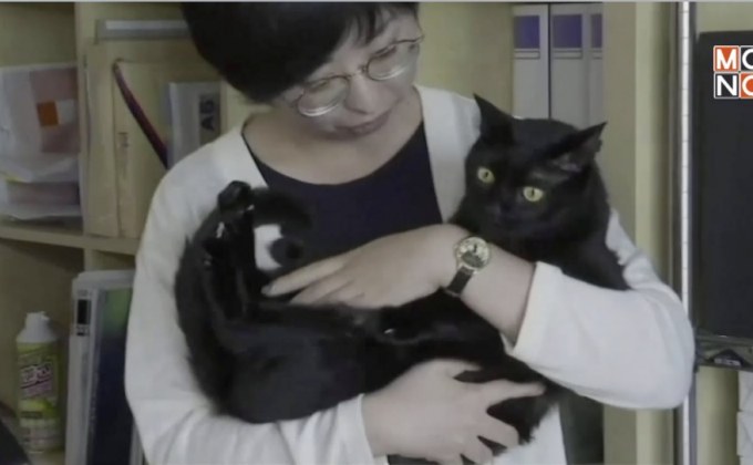 พนักงานออฟฟิศญี่ปุ่นนำสัตว์เลี้ยงมาที่ทำงานมากขึ้น