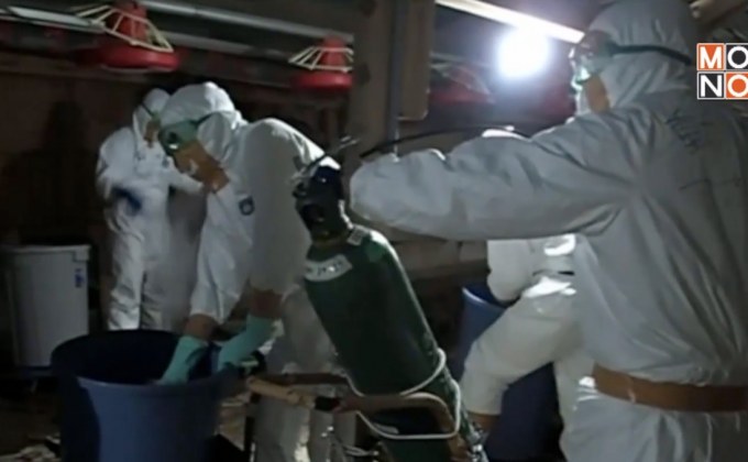 พบเชื้อ “ไข้หวัดนก” ในสัตว์ปีกญี่ปุ่น