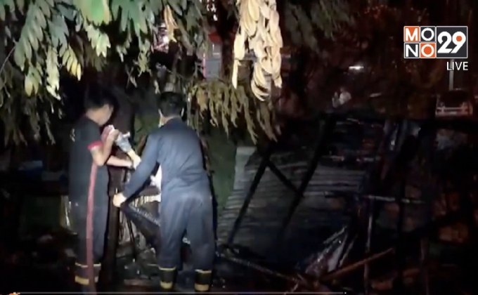 เจ้าของเชื่อ ลอบวางเพลิงฆ่าแมวเปอร์เซีย