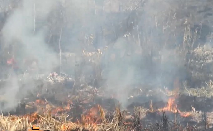 ชาวไร่อ้อยยันจำเป็นต้องเผาก่อนตัด