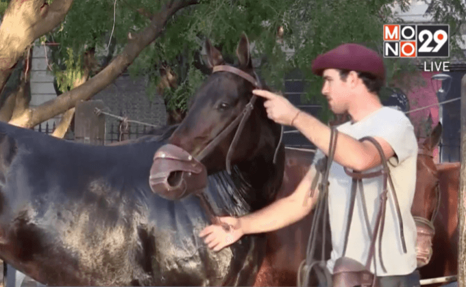 โคลนนิ่งม้าแข่งในอาร์เจนตินา