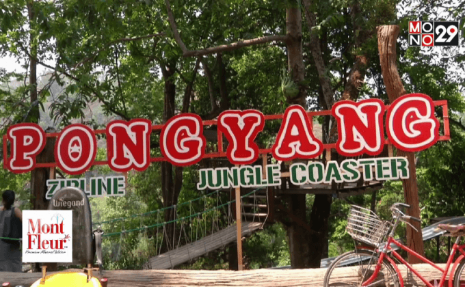 อนุญาตเครื่องเล่นจังเกิล โคสเตอร์ ดำเนินการต่อ