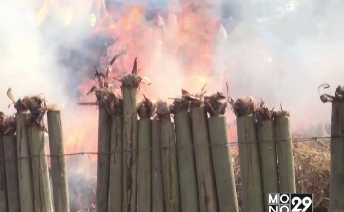 เผาข้าวหลามกว่า 4 พันกระบอก แจกชาวชัยนาท