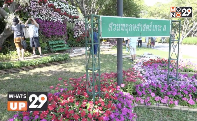 กฟผ. พรรณไม้งาม