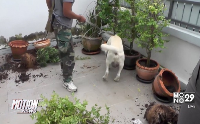 จับกุมครูอัตราจ้างและพวกขายยาบ้าให้นักศึกษา