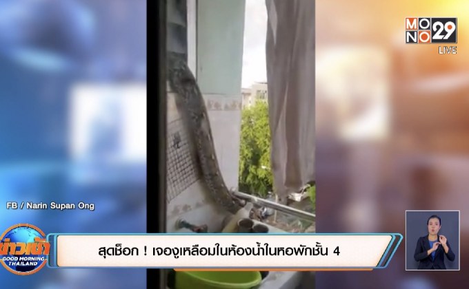 สุดช็อก ! เจองูเหลือมในห้องน้ำในหอพักชั้น 4