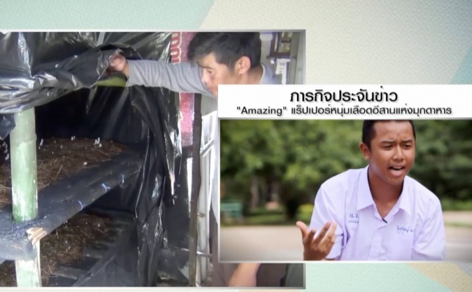 หนุ่มรับเหมาผันทำแพเห็ดสร้างรายได้งาม พร้อมถ่ายทอดฟรี
