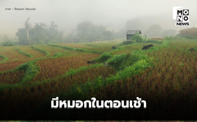 สภาพอากาศวันนี้ ไทยตอนบนอุณหภูมิสูงขึ้น แต่ยังหนาวเย็น-มีหมอกเช้า / ภาคใต้ฝนลด