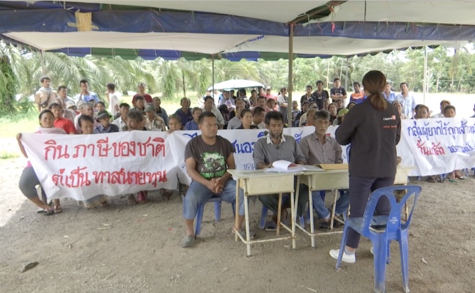 ร้องตรวจสอบพื้นที่ปลูกปาล์มน้ำมัน บ.เอกชน