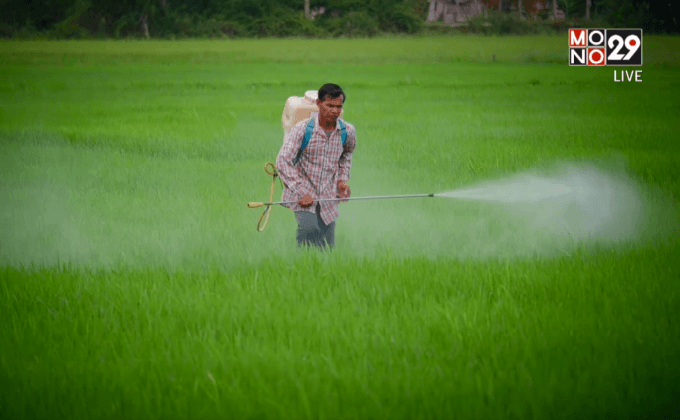 Five minutes Bighero : ลุงชัยพร ตอนที่ 4/5