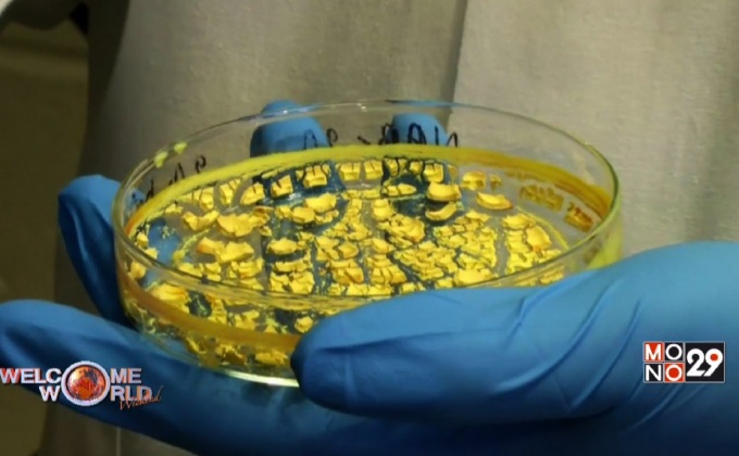 สหรัฐพัฒนาขั้นตอนกำจัดกากกัมมันตรังสี