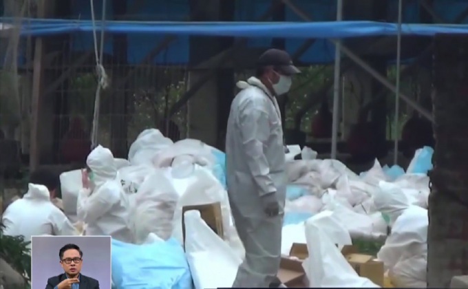 ไต้หวันพบไข้หวัดนกสายพันธุ์ H5N6 ระบาด