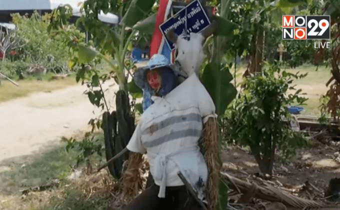 แพทย์ระบุชาวบ้านป่วยตาย ไม่ใช่ฝีมือผีแม่หม้าย