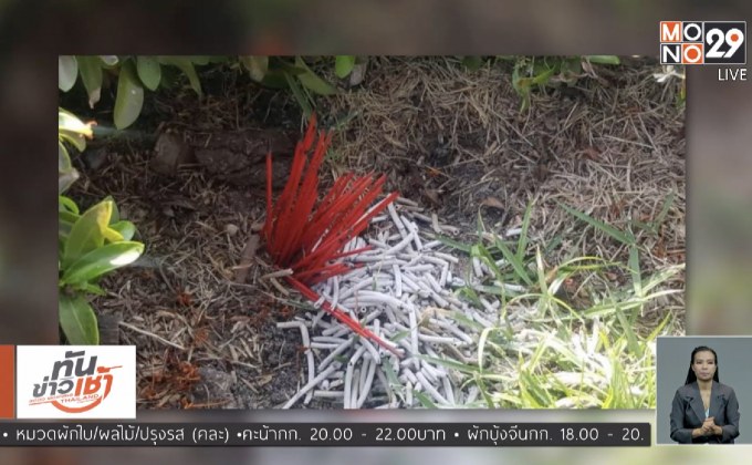 ทำเนียบฯ ตั้งอ่างบัวใบใหม่-ตามหาคนปักธูป 36 ดอก