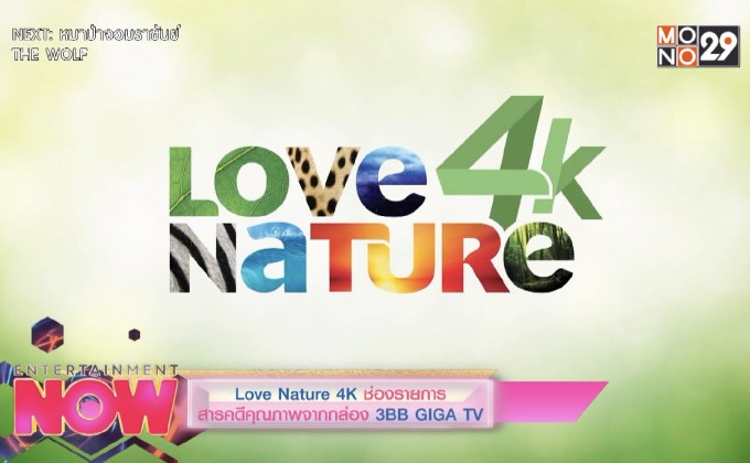 Love Nature 4K ช่องรายการสารคดีคุณภาพจากกล่อง 3BB GIGA TV