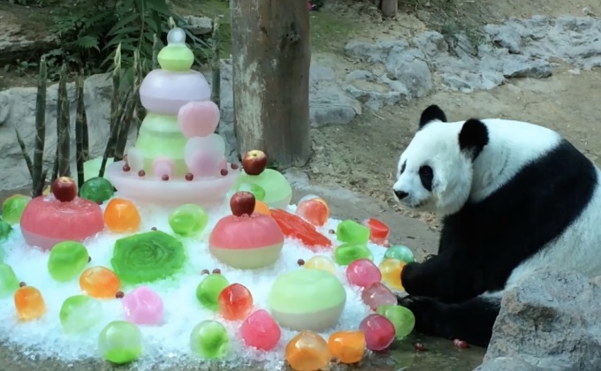 หลินฮุ่ยครบรอบอายุ 15 ปี