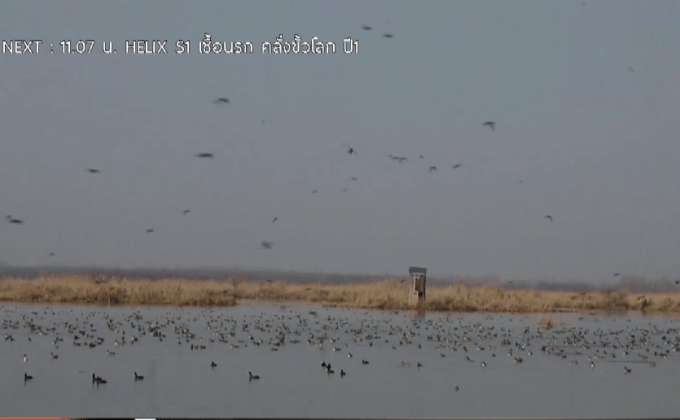 อินเดียเริ่มโครงการสำรวจประชากรนกอพยพ