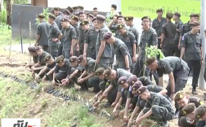 ปลูกต้นไม้ฟื้นฟูป่าบ้านพักตุลาการ จ.เชียงใหม่