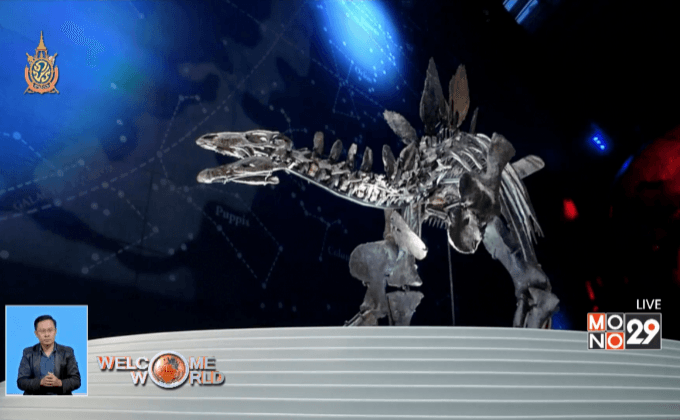 สแกนกะโหลกฟอสซิล “สเตโกซอรัส”