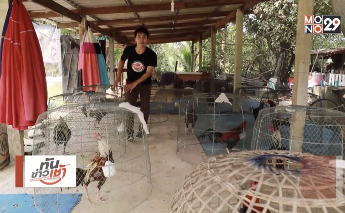 เจษฎาพาลุย : “สปาสุ่มไก่” รักษาโรคด้วยสมุนไพรใกล้ตัว จ.จันทบุรี