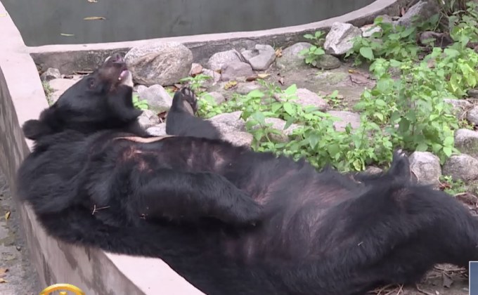 ภารกิจดูแลสัตว์ป่า สถานีเพาะเลี้ยงสัตว์ป่าห้วยขาแข้ง