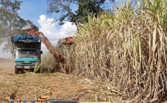 รัฐแจกที่ดิน 5.9 ล้านไร่ เป็นของขวัญปีใหม่