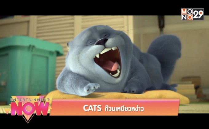 CATS ก๊วนเหมียวหง่าว