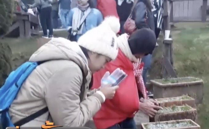 ยอดดอยอินทนนท์อุณหภูมิติดลบเป็นวันที่ 2