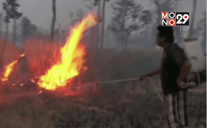 ไฟป่าลุกลามกว่า 1,000 ไร่ จ.นครพนม