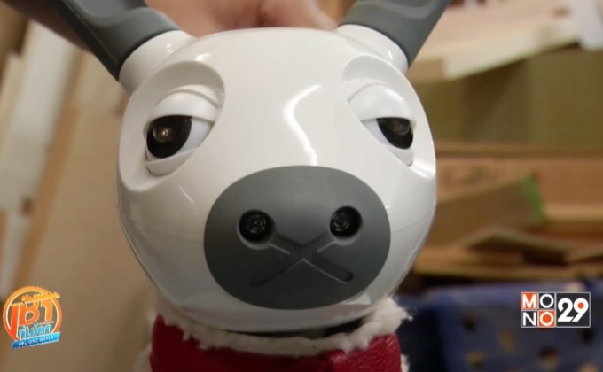 หุ่นยนต์สัตว์เลี้ยงอัจฉริยะในอังกฤษ