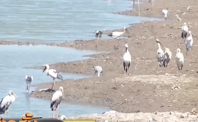 ภัยแล้งเริ่มส่งผลกระทบพื้นที่ภาคกลาง