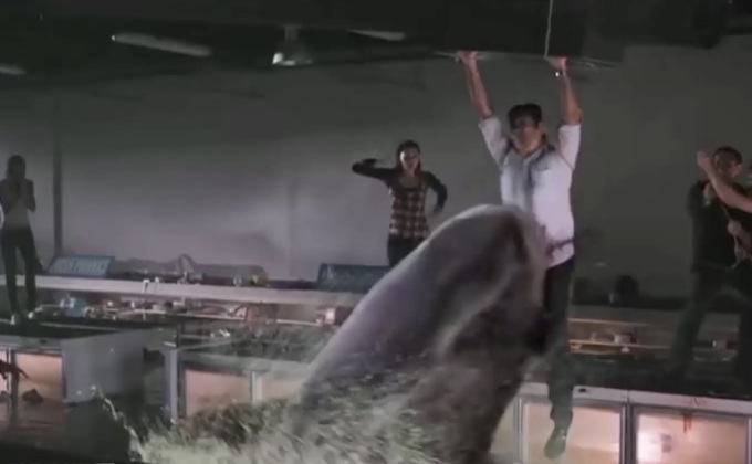 หนังฉลามพันธุ์โหดที่คุณอาจไม่เคยดูมาก่อน!