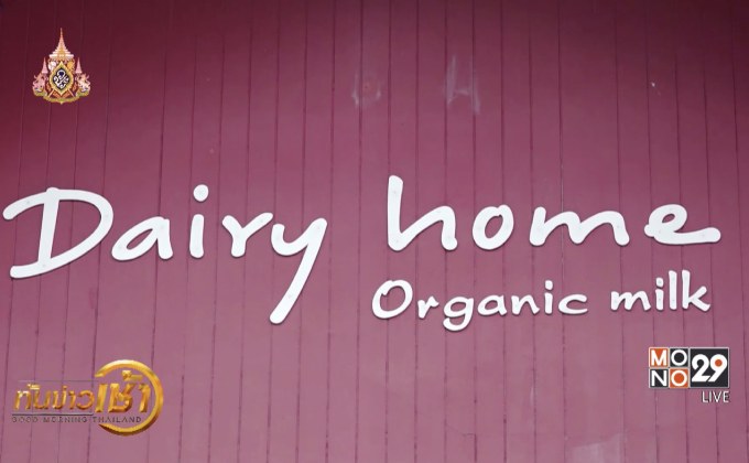 “แดรี่โฮม”ฟาร์มวัวอารมณ์ดีแหล่งผลิตโคนมอินทรีย์ไทย