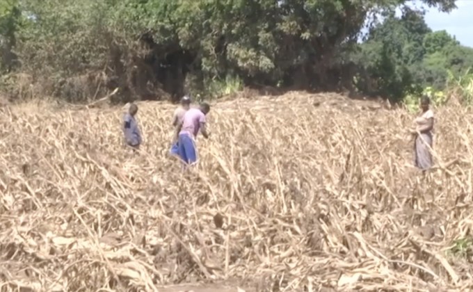 ICRC ยังคงค้นหาร่างผู้สูญหายจากพายุไซโคลนในโมซัมบิก