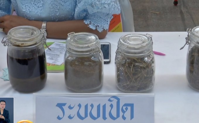 ยืนยันสารสกัดกัญชาฯ 2,500 ขวดแรกใช้กับผู้ป่วยวิจัย 2 ประเภท 