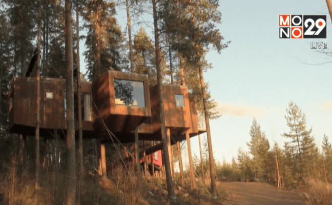 โรงแรมต้นไม้ในสวีเดน