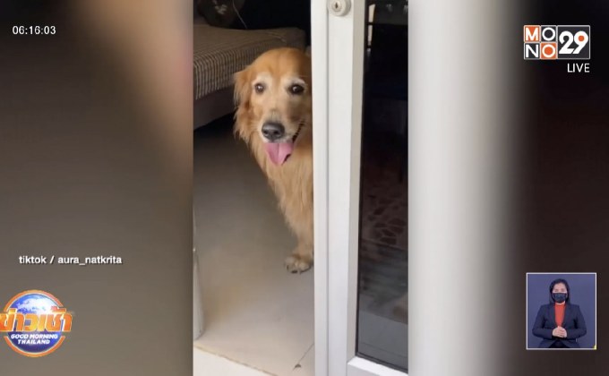 เจ้าของขอโทษ ปิดประตูลืมสุนัขไว้นอกบ้าน