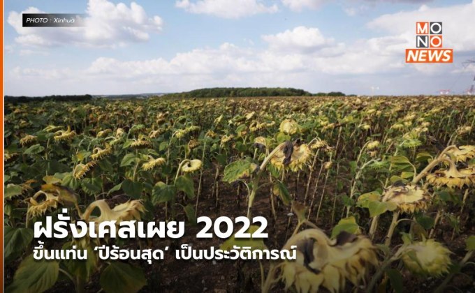 ฝรั่งเศสเผย 2022 ขึ้นแท่น ‘ปีร้อนสุด’ เป็นประวัติการณ์