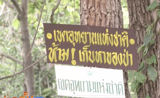 ชาวบ้านเก็บเห็ดบนเขาถูกจับอ้างมีบัตรอาสาฯ