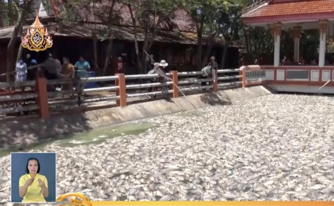 สรุปข่าวรอบวัน 29-04-62